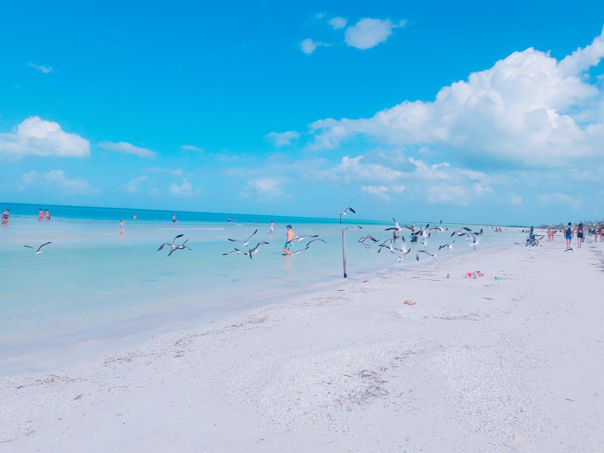 Hostel La Isla Holbox Εξωτερικό φωτογραφία
