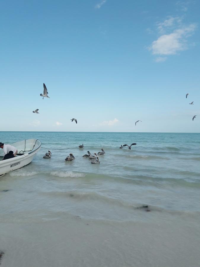 Hostel La Isla Holbox Εξωτερικό φωτογραφία